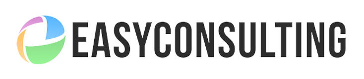 easyconsulting-e1705329487868
